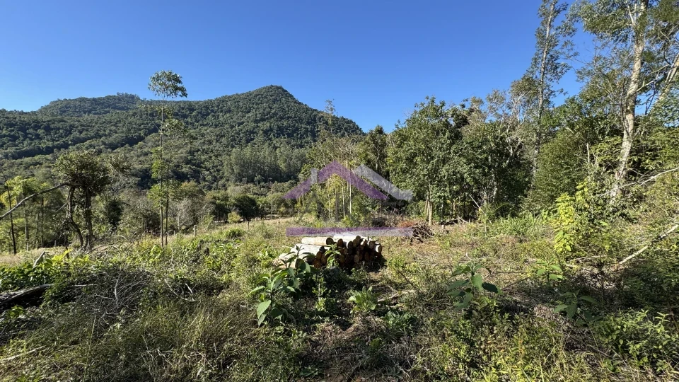 Imagens do imóveis Sítio de 9 hectares à venda em Nova Petrópolis na Serra Gaúcha