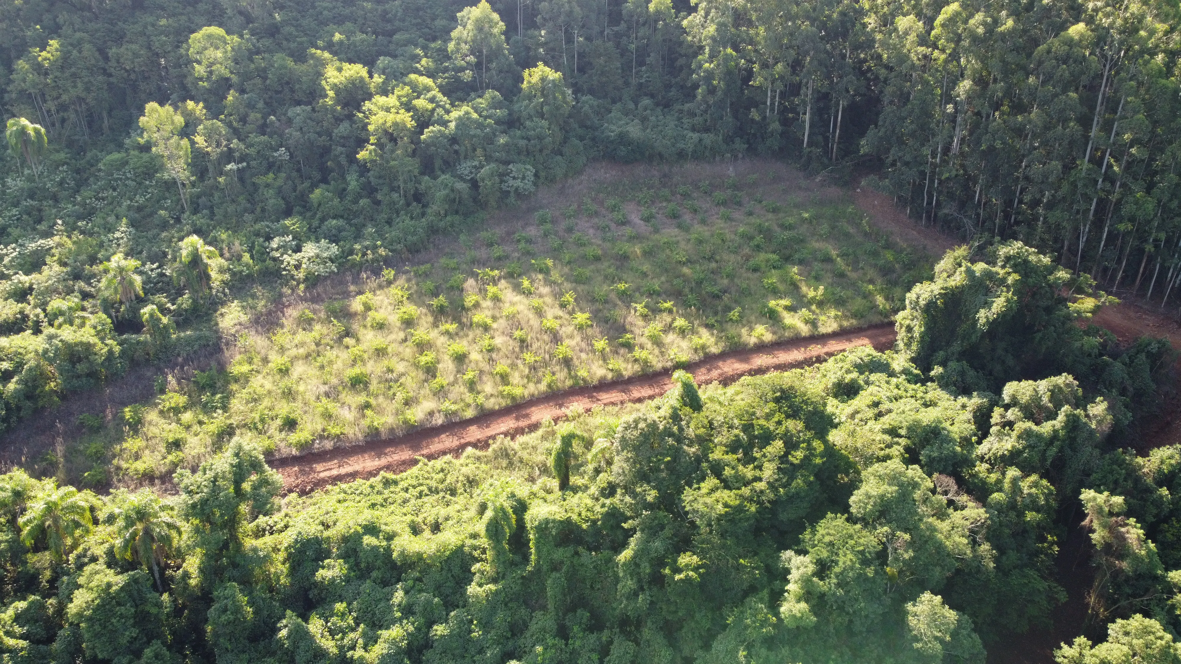 Área de terra com vista à venda em Nova Petrópolis na Serra Gaúcha