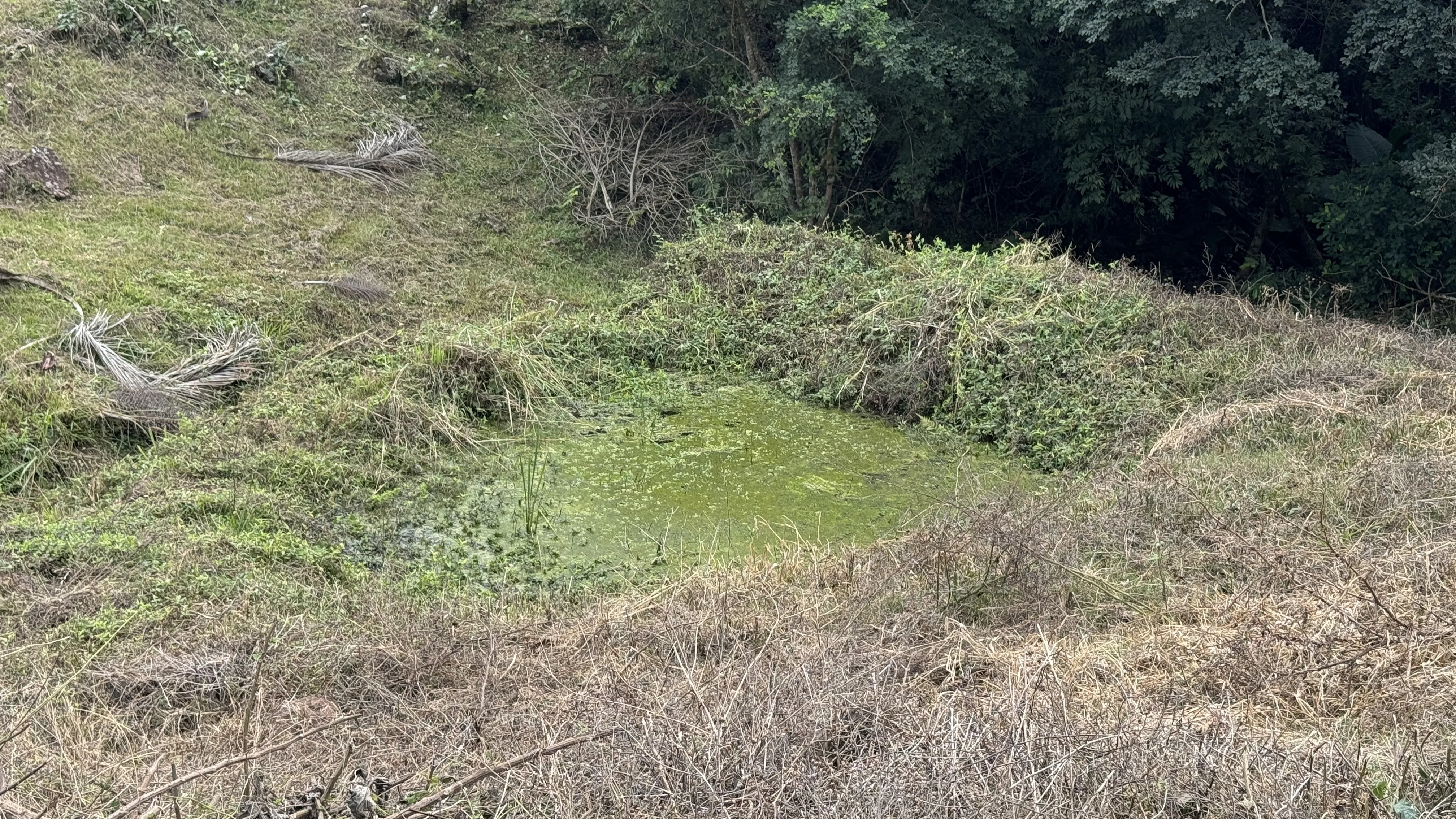 Área de terra com riacho à venda em Morro Reuter-RS