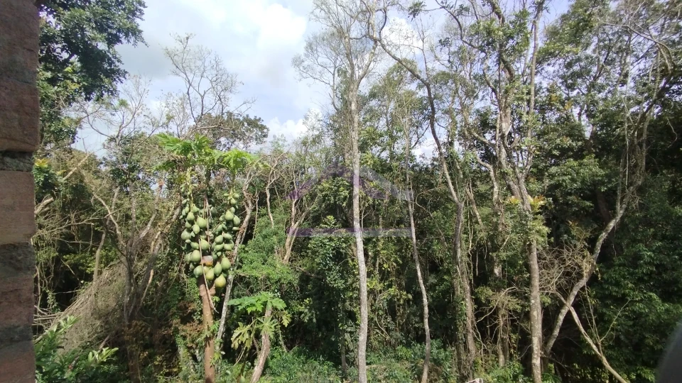 Sítio com duas casas à venda em Picada Café na Serra Gaúcha