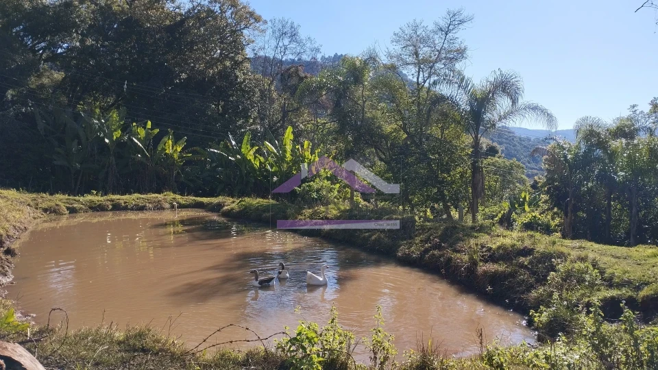 Imagens do imóveis Excelente sítio com casa enxaimel e açude à venda em Picada Café na Serra Gaúcha