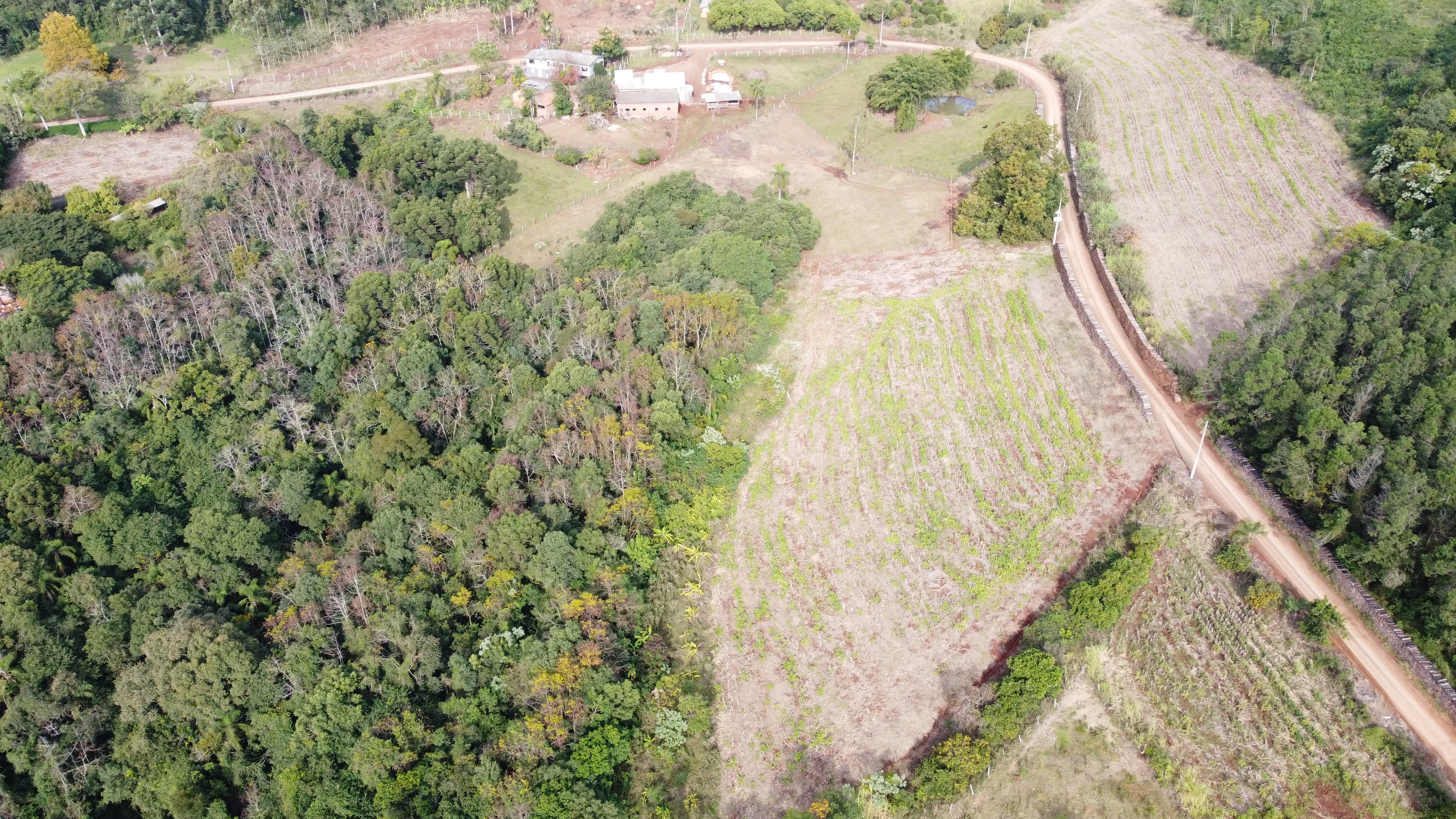 Área de terra com riacho à venda em Morro Reuter-RS