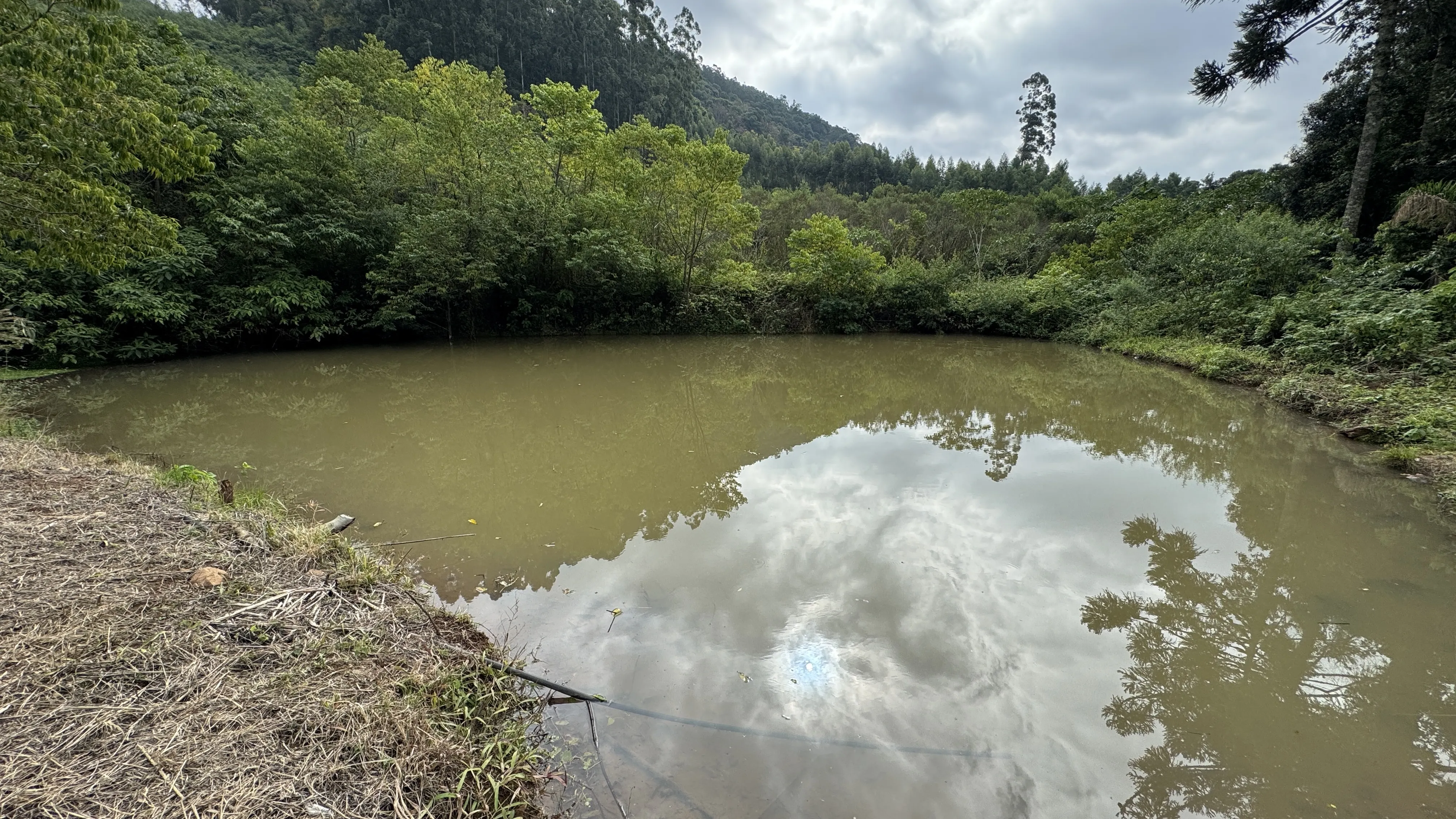 Área de terra com açudes e riacho à venda em Morro Reuter-RS