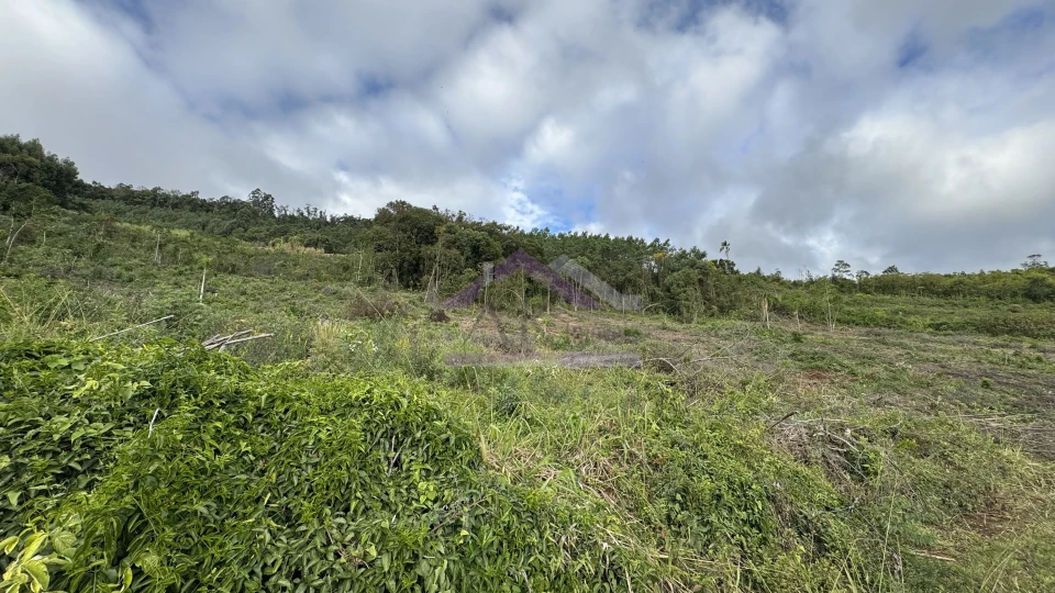 Área de terra com vista e vertente à venda em Morro Reuter-RS
