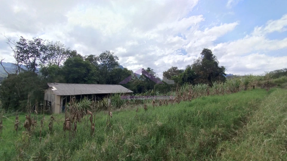 Imagens do imóveis Área de terra com vista panorâmica à venda próxima ao centro de Picada Café na Serra Gaúcha