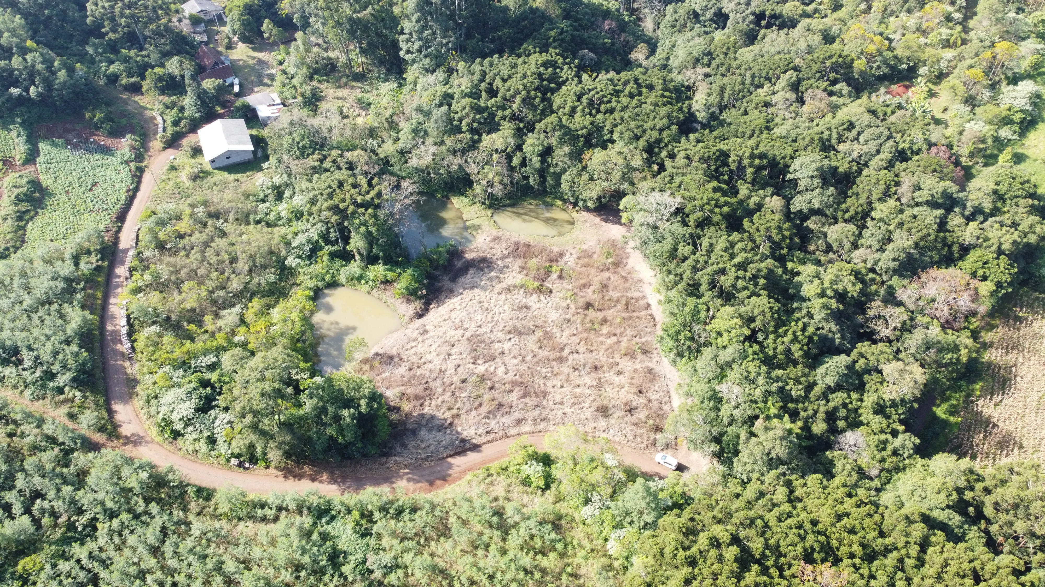 Área de terra com açudes e riacho à venda em Morro Reuter-RS