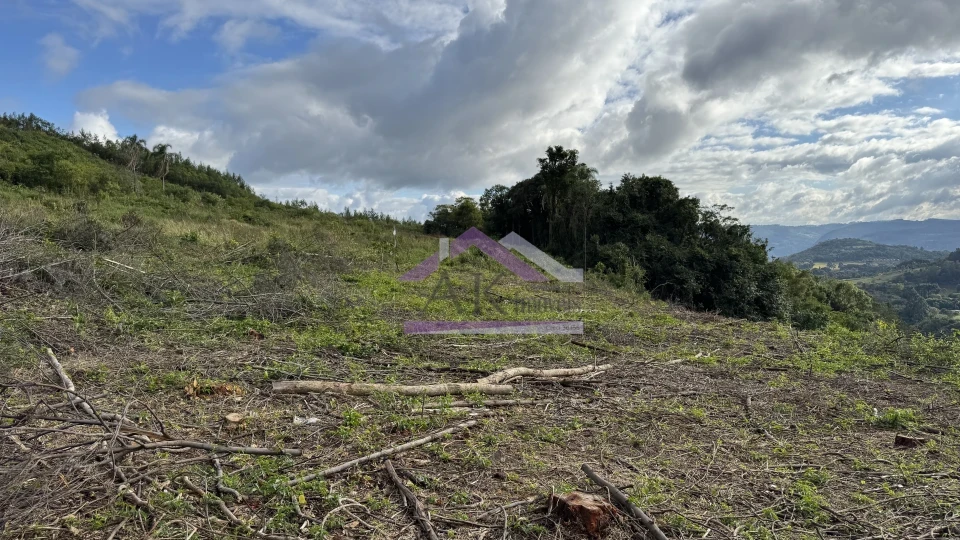 Fazenda/Sítios/Chácaras À Venda Recanto Das Flores Morro Reuter
