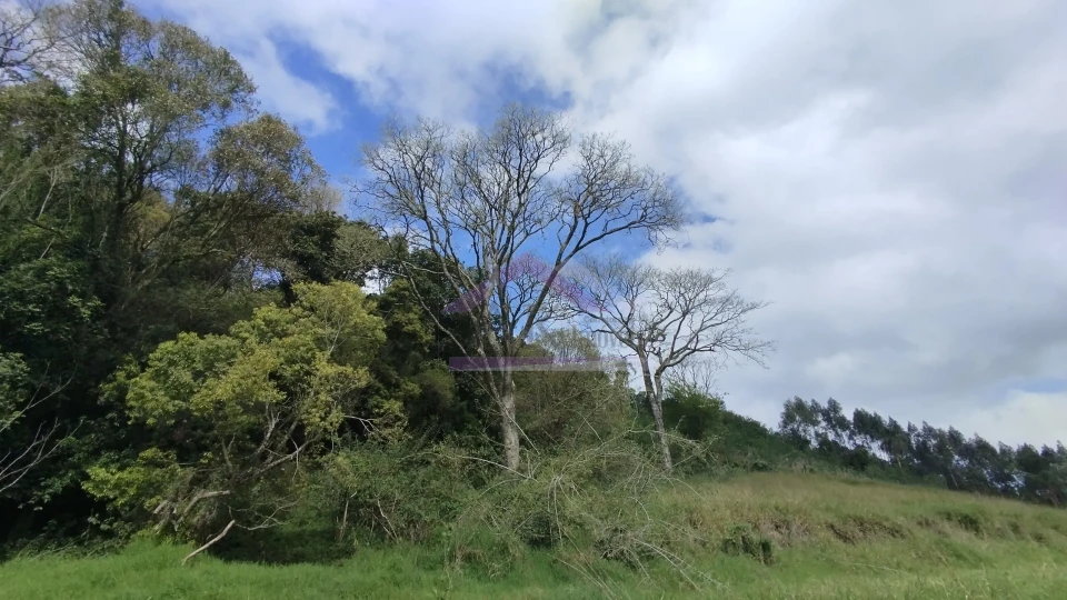 Imagens do imóveis Área de terra com vista panorâmica à venda próxima ao centro de Picada Café na Serra Gaúcha