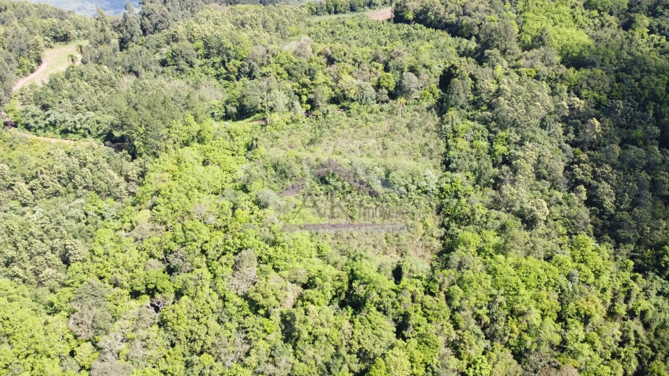 Imagens do imóveis Área de terra com vista à venda em Picada Café na Serra Gaúcha