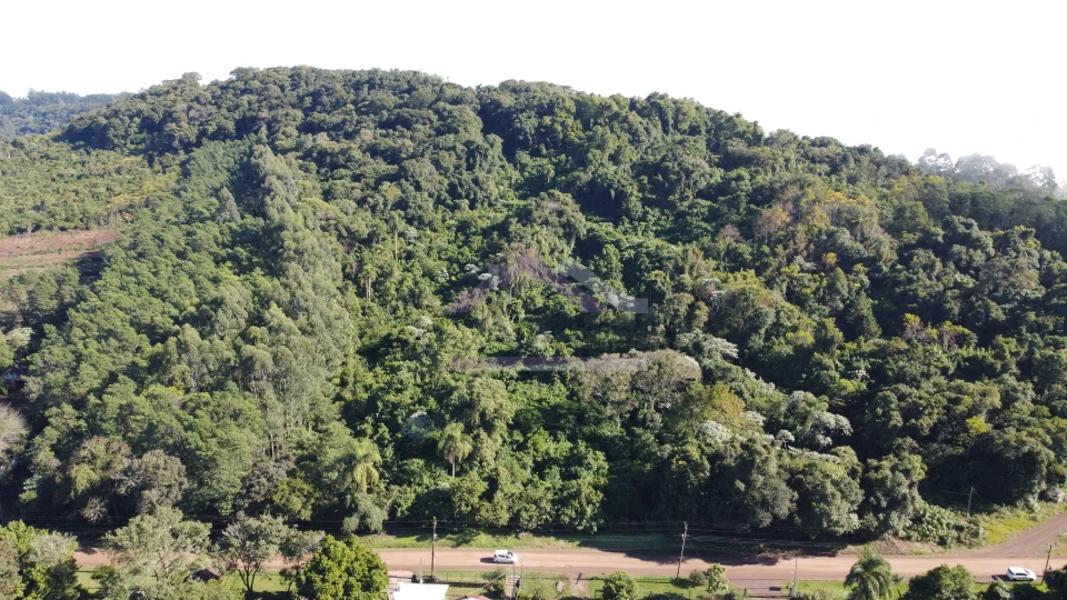 Área de terra à venda em Picada Café na Serra Gaúcha