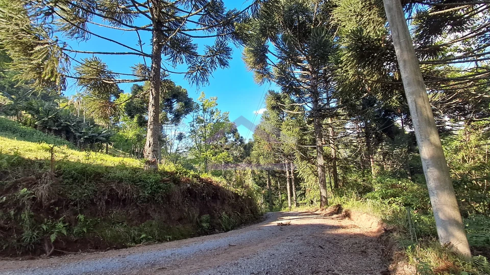 Excelente área de terra com ótima localizaçao à venda em Nova Petrópolis