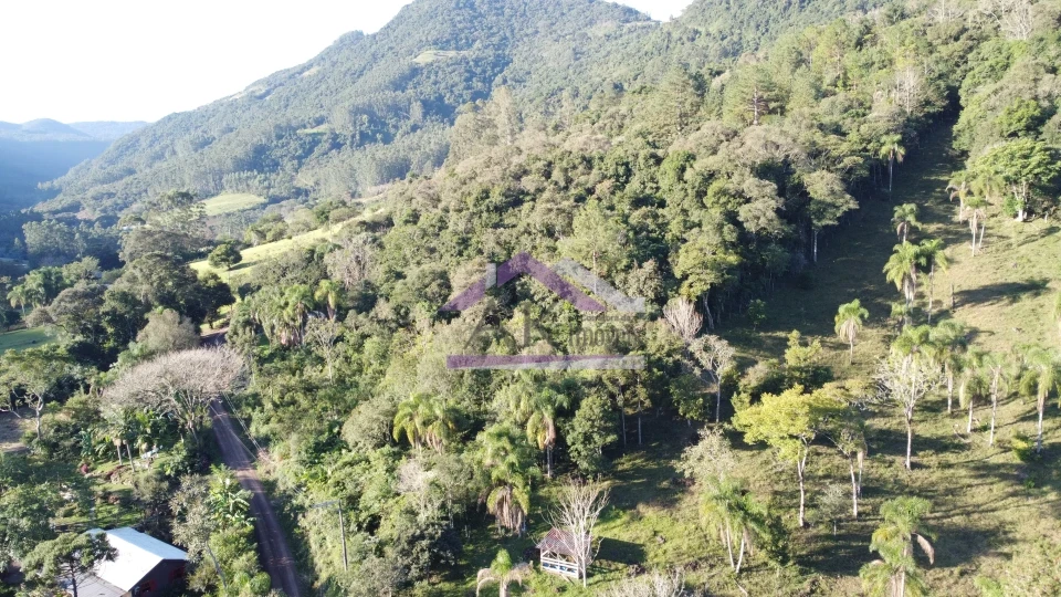 Imagens do imóveis Área de terra à venda em Picada Café na Serra Gaúcha