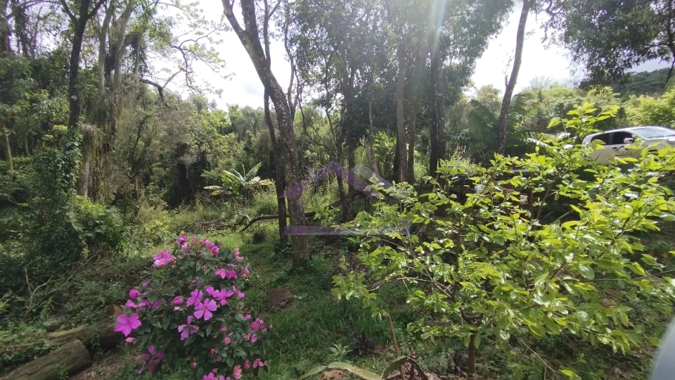 Sítio com duas casas à venda em Picada Café na Serra Gaúcha