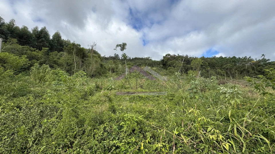 Área de terra com vista e vertente à venda em Morro Reuter-RS