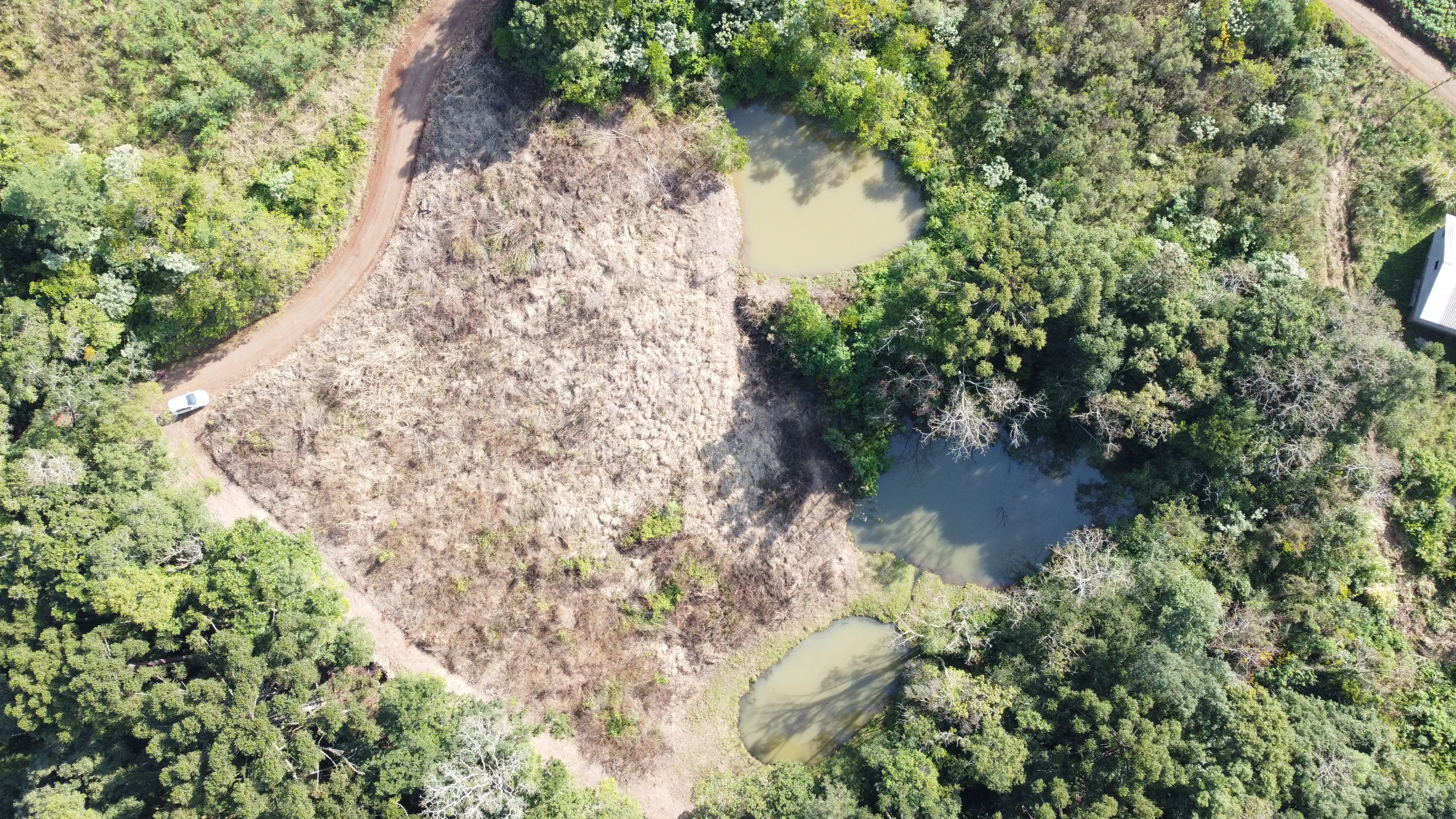 Área de terra com açudes e riacho à venda em Morro Reuter-RS