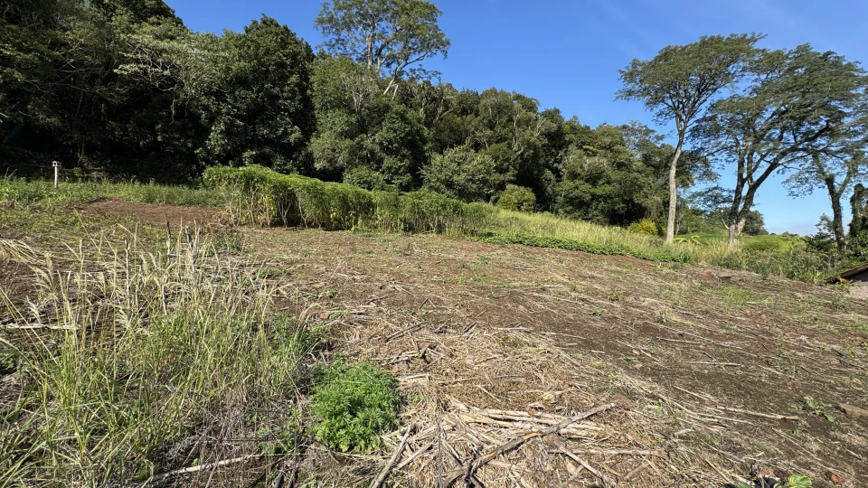 Terreno urbano à venda em Picada Café na Serra Gaúcha