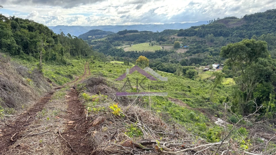 Fazenda/Sítios/Chácaras À Venda Recanto Das Flores Morro Reuter