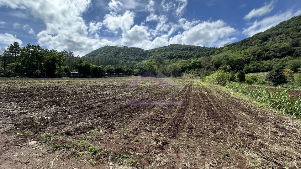 Sítio com riacho e casa enxaimel à venda em Picada Café na Serra Gaúcha
