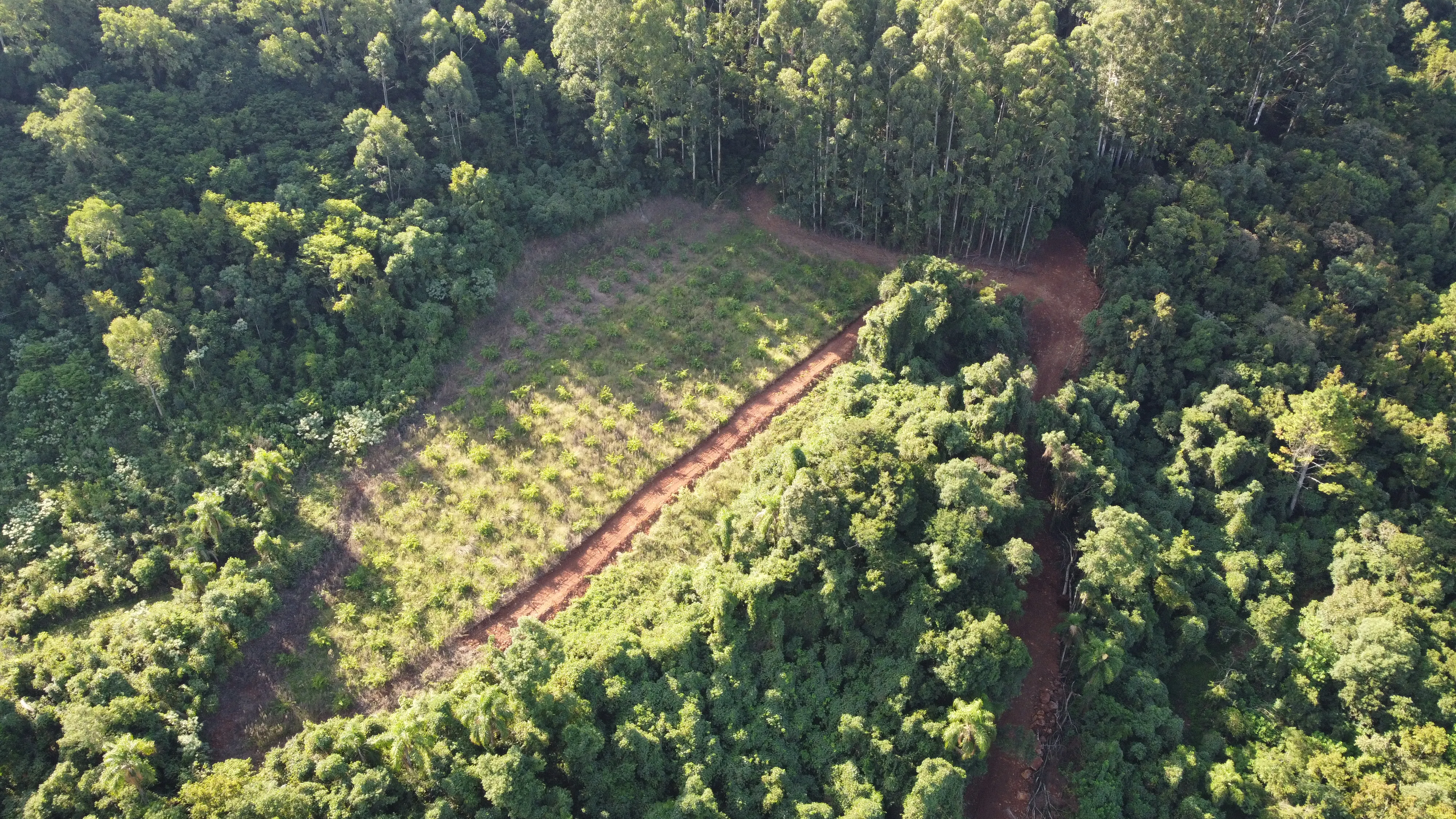 Área de terra com vista à venda em Nova Petrópolis na Serra Gaúcha