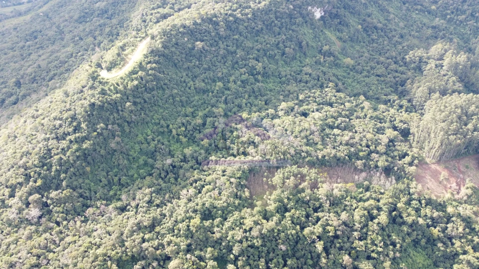 Área de terra com potencial de vista à venda em Picada Café na Serra Gaúcha