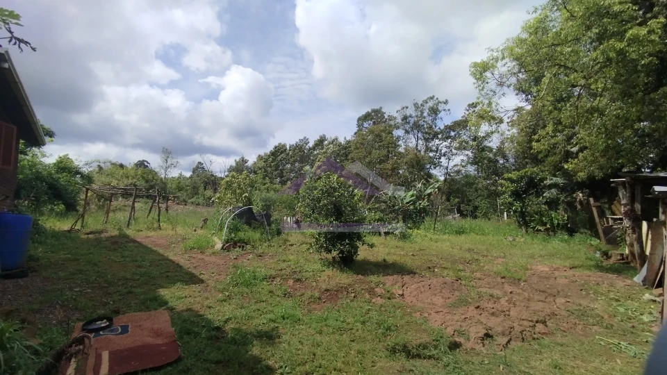 Sítio com duas casas à venda em Picada Café na Serra Gaúcha