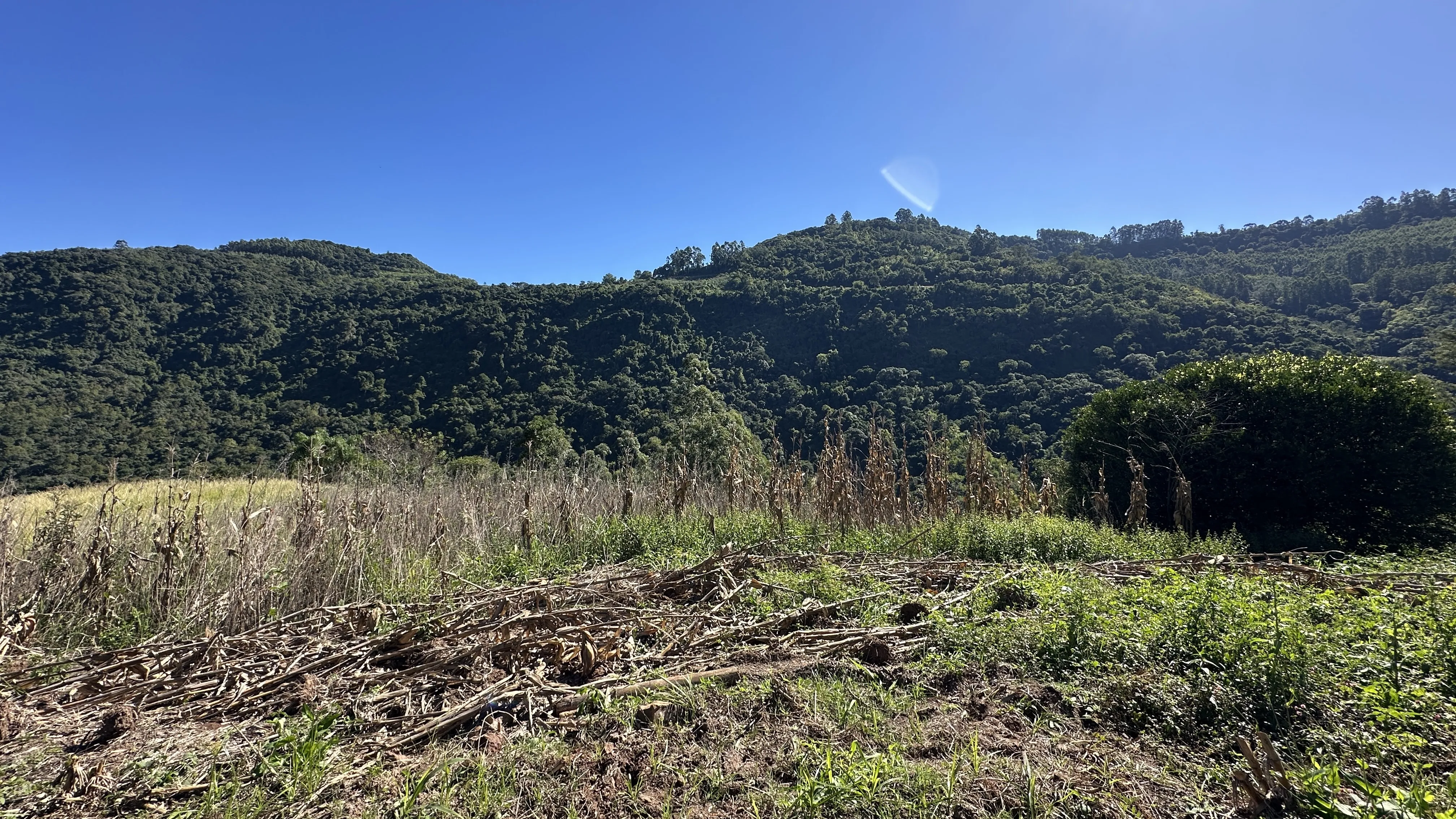 Área de terras com fundos para riacho à venda em Picada Café na Serra Gaúcha