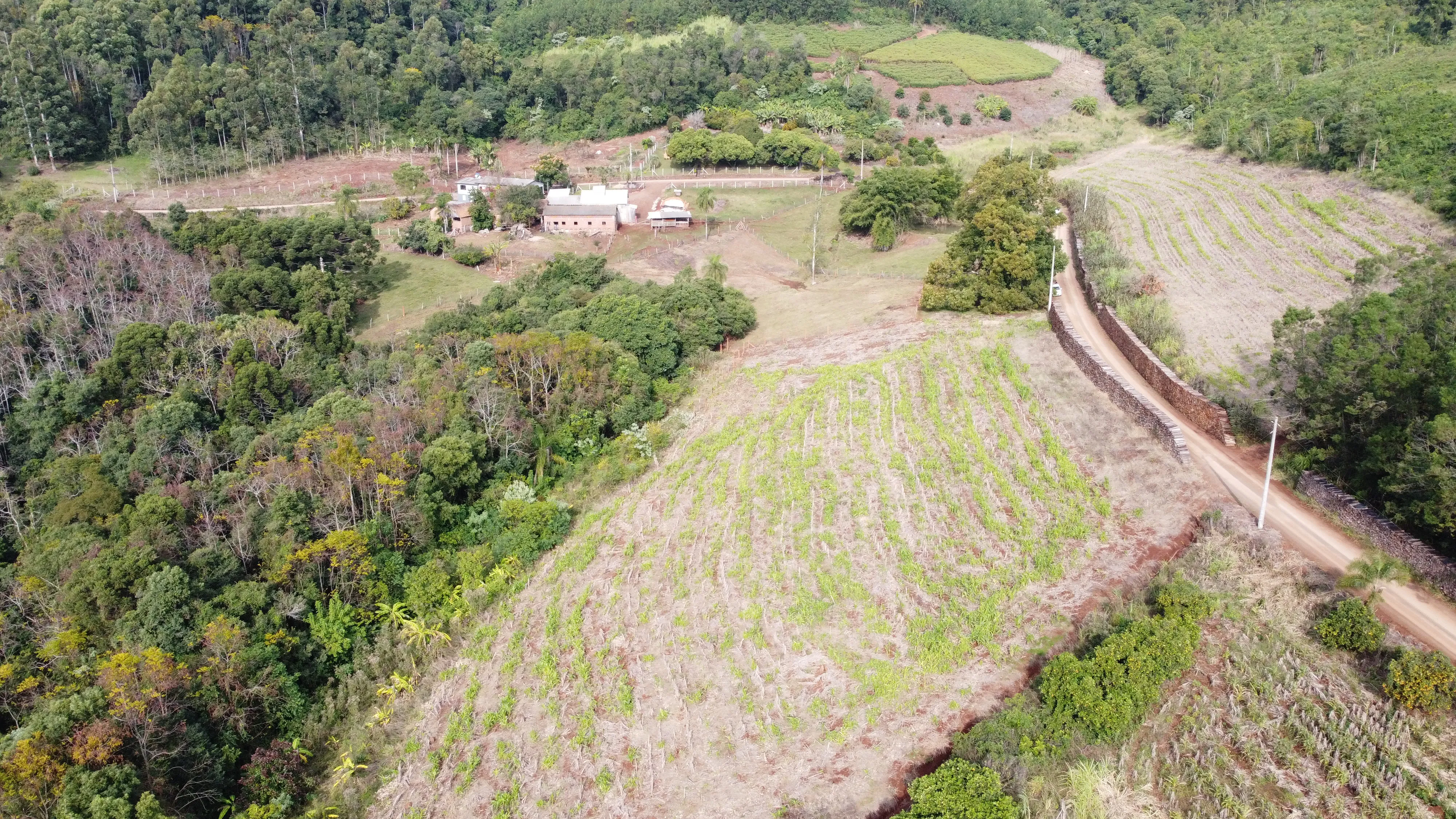 Área de terra com riacho à venda em Morro Reuter-RS