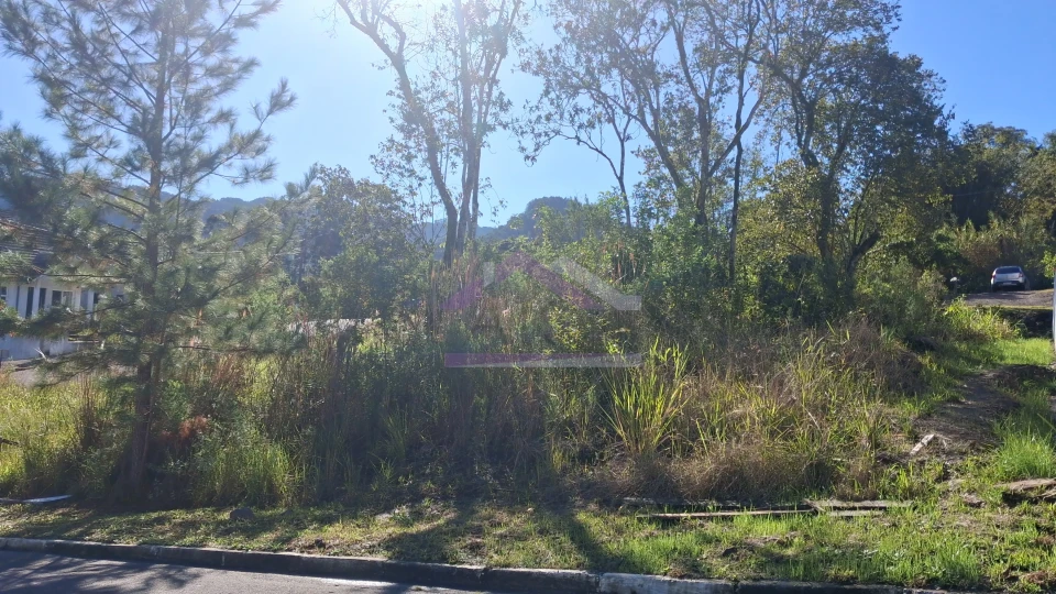 Terreno arborizado a venda em loteamento central de Picada Café, na Serra Gaúcha