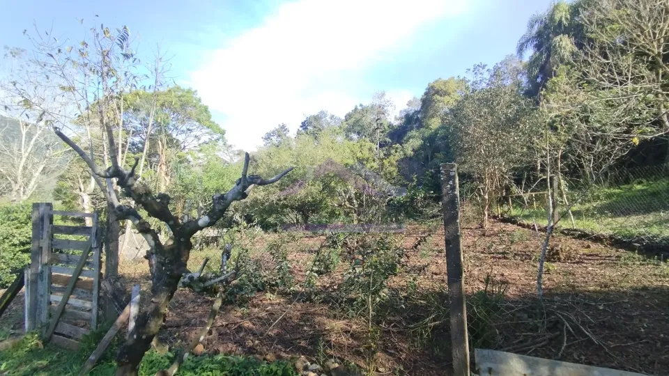 Sítio com riacho e casa enxaimel à venda em Picada Café na Serra Gaúcha
