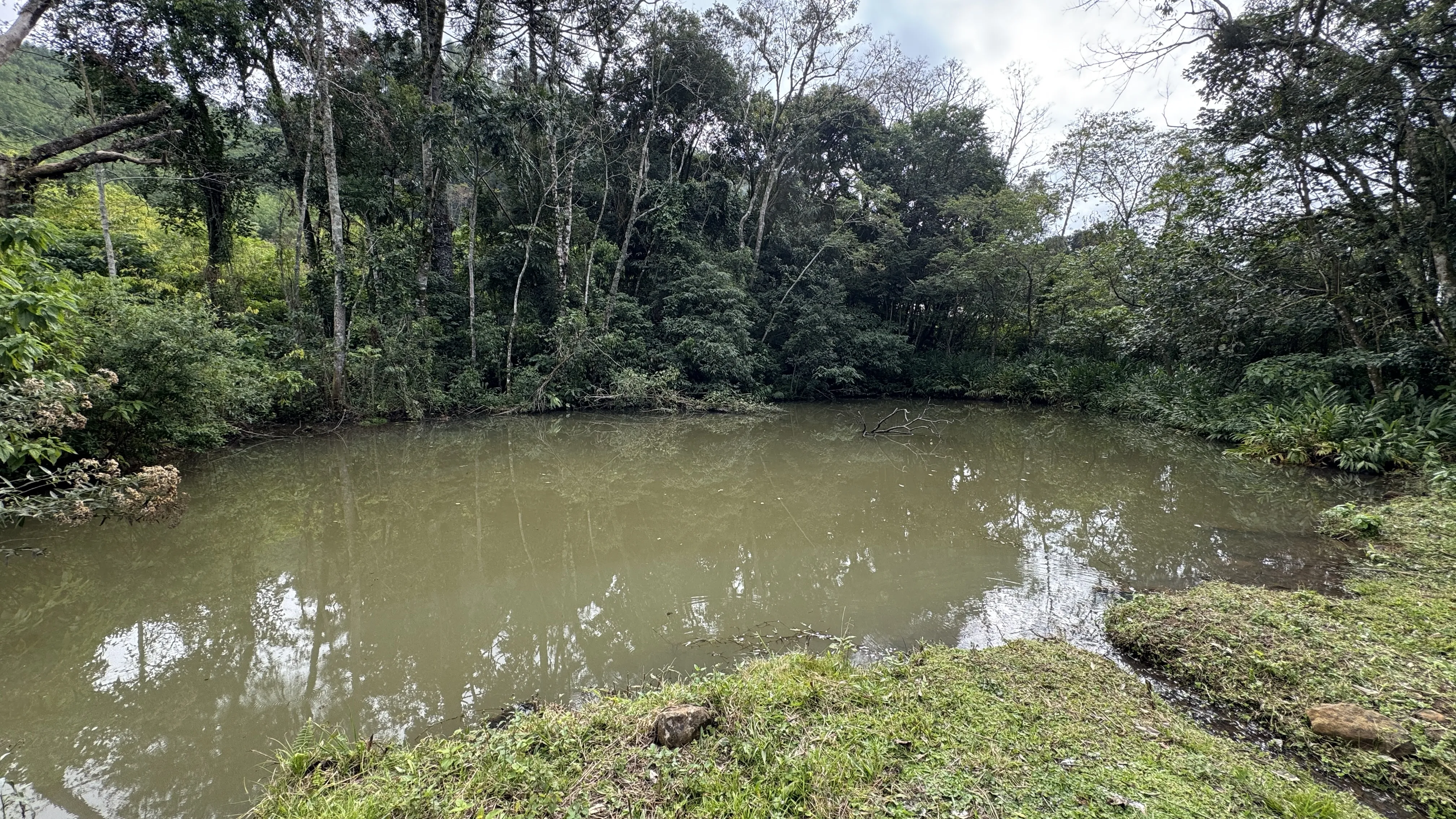 Área de terra com açudes e riacho à venda em Morro Reuter-RS