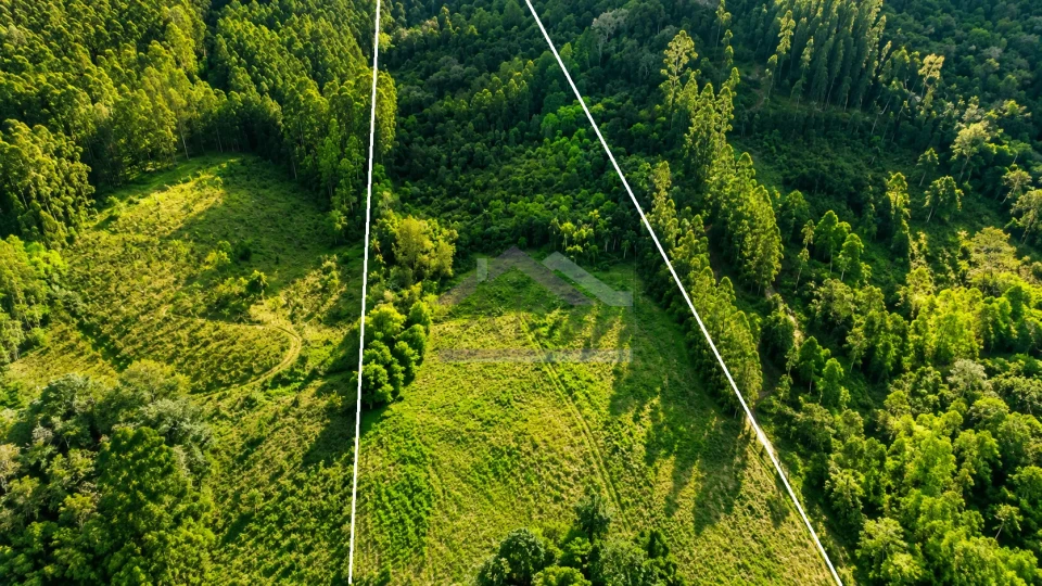 Área de terra com riacho e açude à venda em Picada Café na Serra Gaúcha