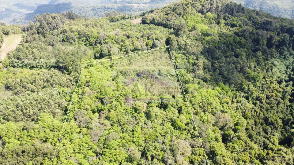Imagens do imóveis Área de terra com vista à venda em Picada Café na Serra Gaúcha