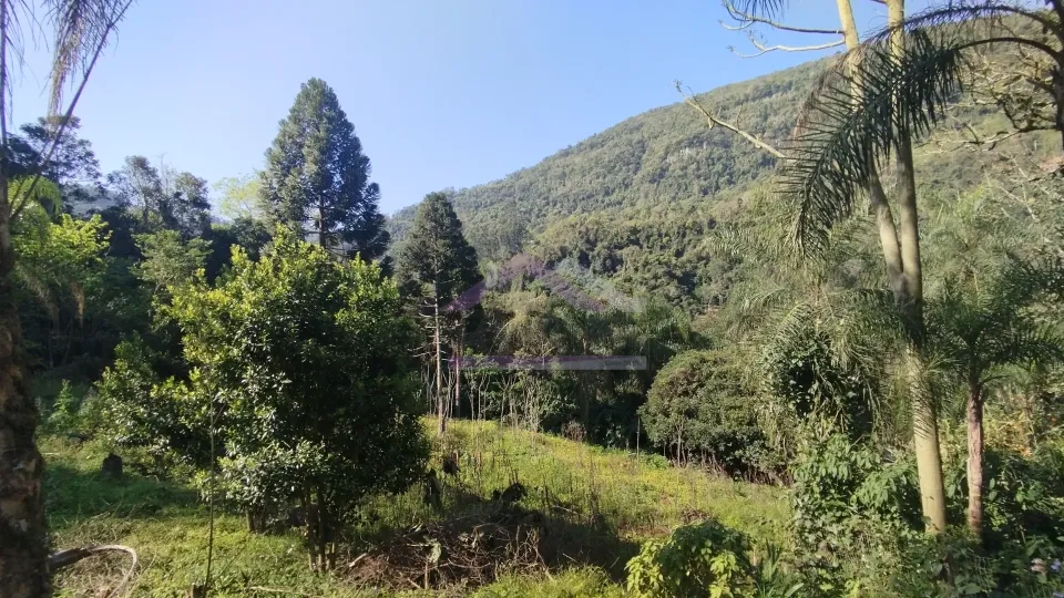 Sítio com riacho e casa enxaimel à venda em Picada Café na Serra Gaúcha
