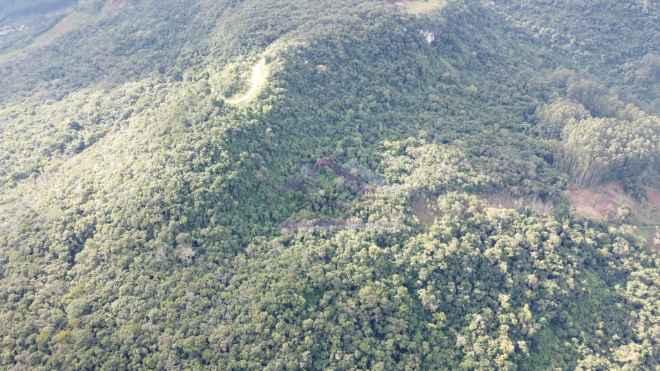 Área de terra com potencial de vista à venda em Picada Café na Serra Gaúcha