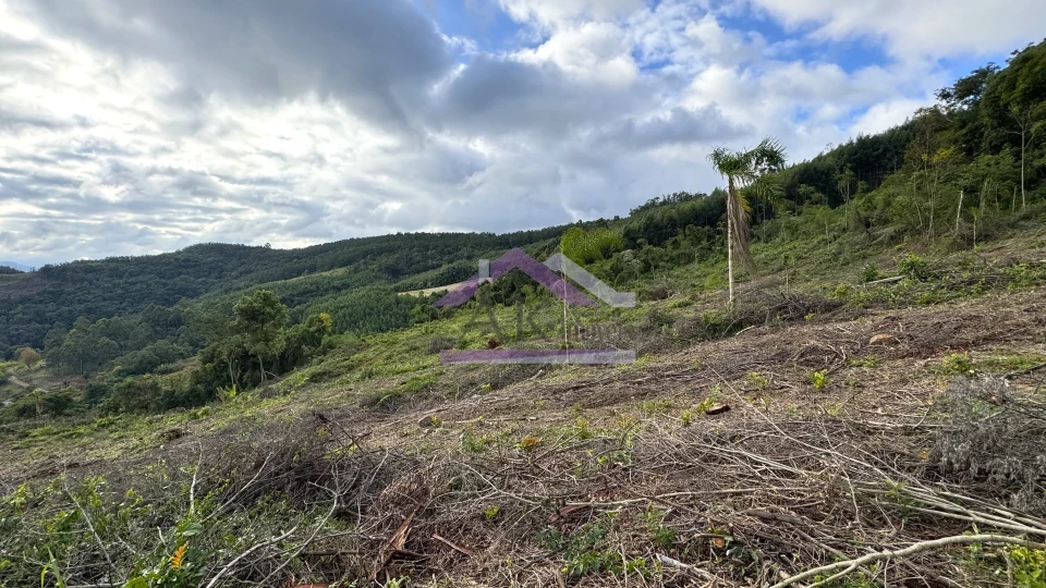 Fazenda/Sítios/Chácaras À Venda Recanto Das Flores Morro Reuter