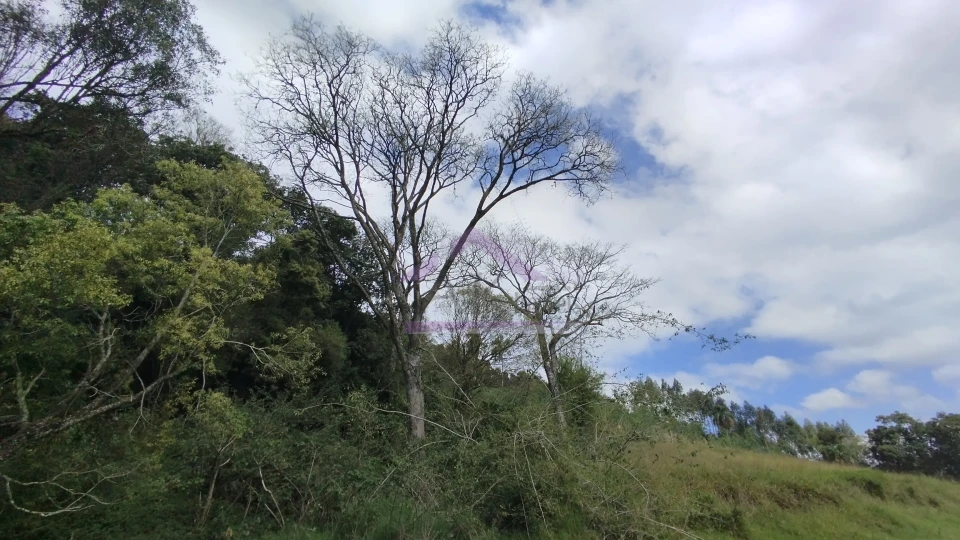 Imagens do imóveis Área de terra com vista panorâmica à venda próxima ao centro de Picada Café na Serra Gaúcha