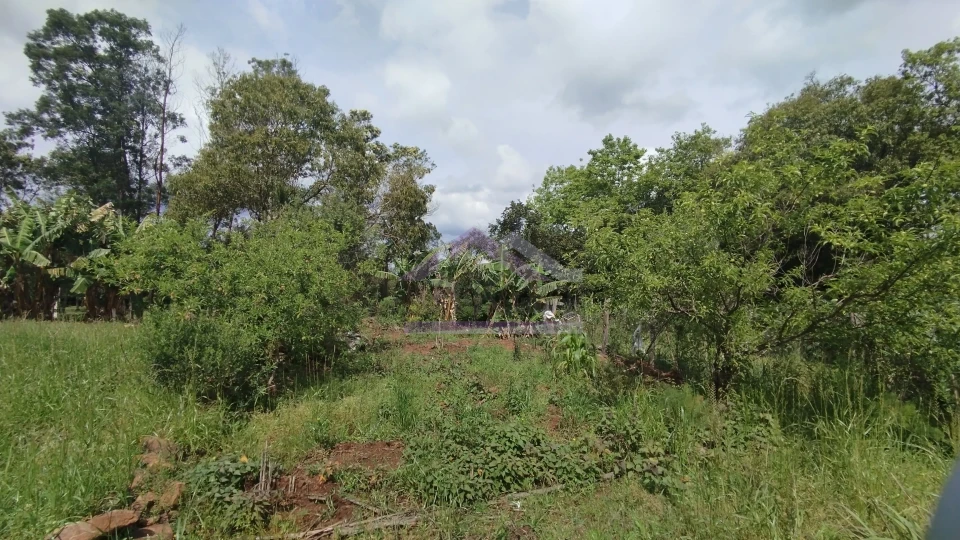 Sítio com duas casas à venda em Picada Café na Serra Gaúcha