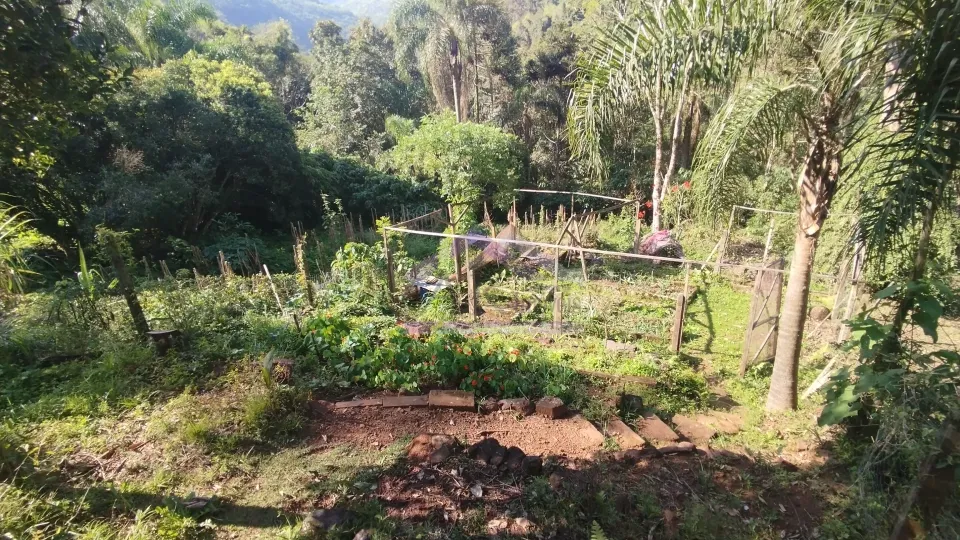 Sítio com riacho e casa enxaimel à venda em Picada Café na Serra Gaúcha