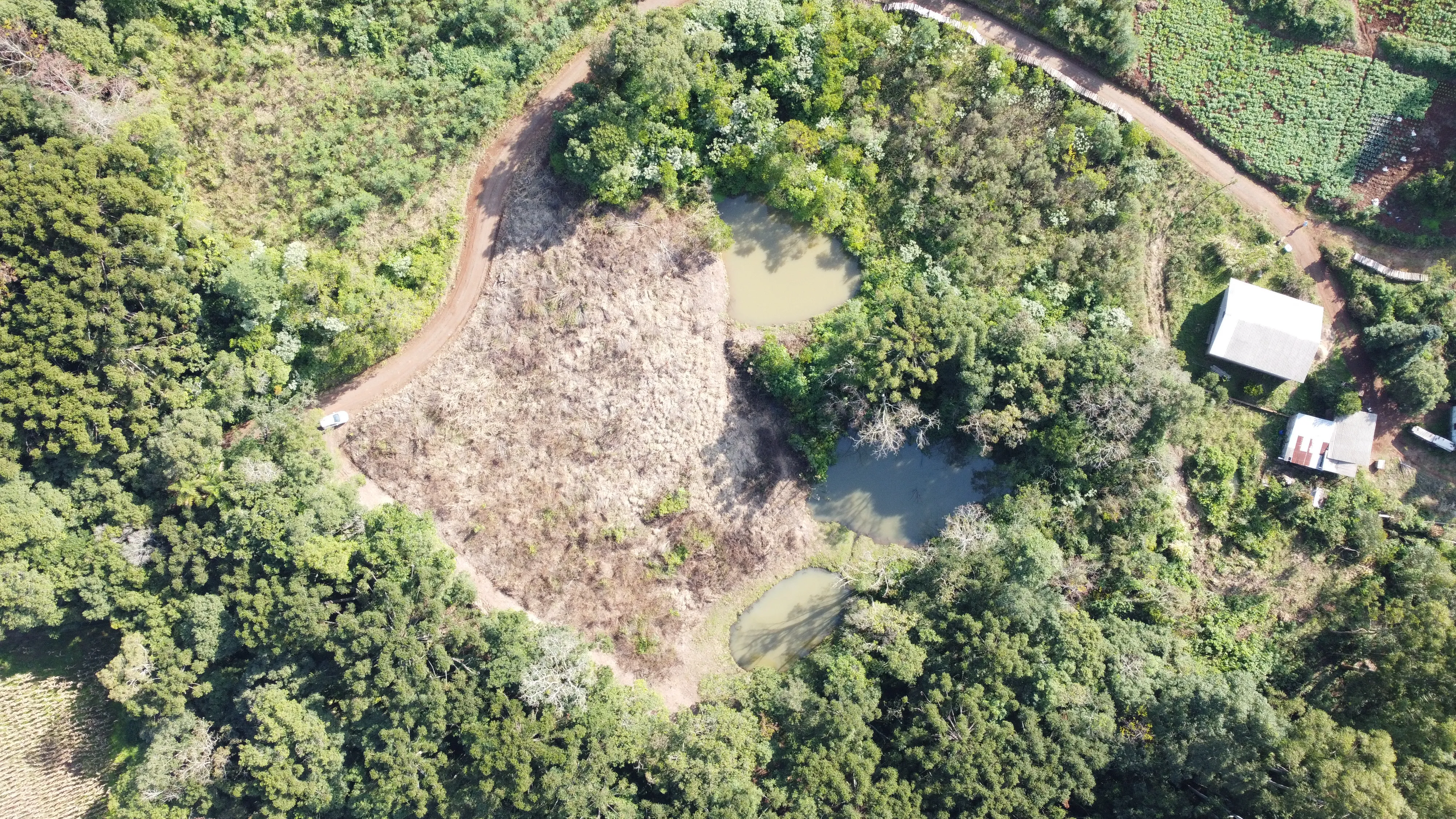 Área de terra com açudes e riacho à venda em Morro Reuter-RS