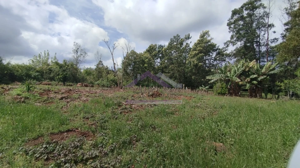 Sítio com duas casas à venda em Picada Café na Serra Gaúcha
