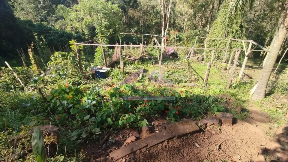 Sítio com riacho e casa enxaimel à venda em Picada Café na Serra Gaúcha