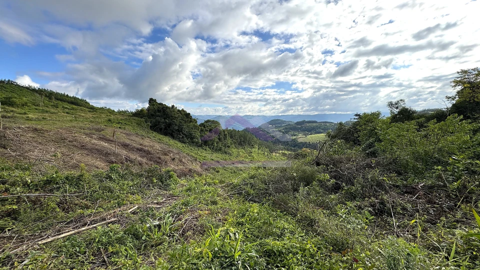 Área de terra com vista e vertente à venda em Morro Reuter-RS