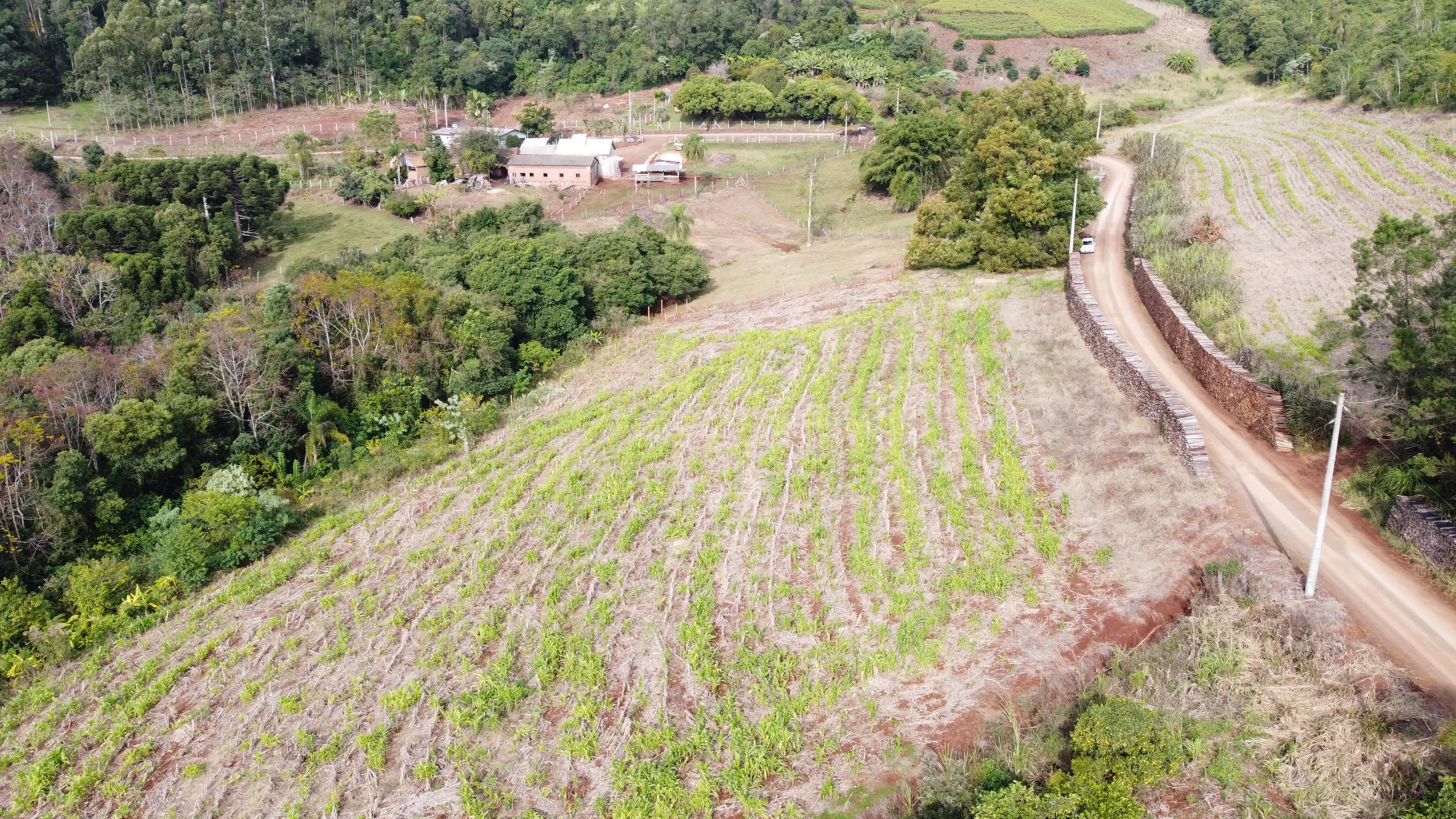 Área de terra com riacho à venda em Morro Reuter-RS