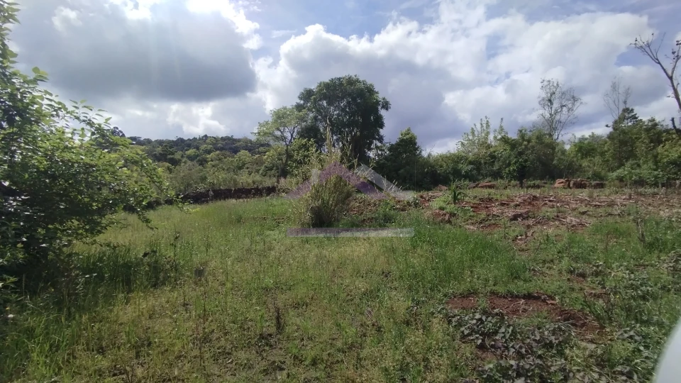Sítio com duas casas à venda em Picada Café na Serra Gaúcha