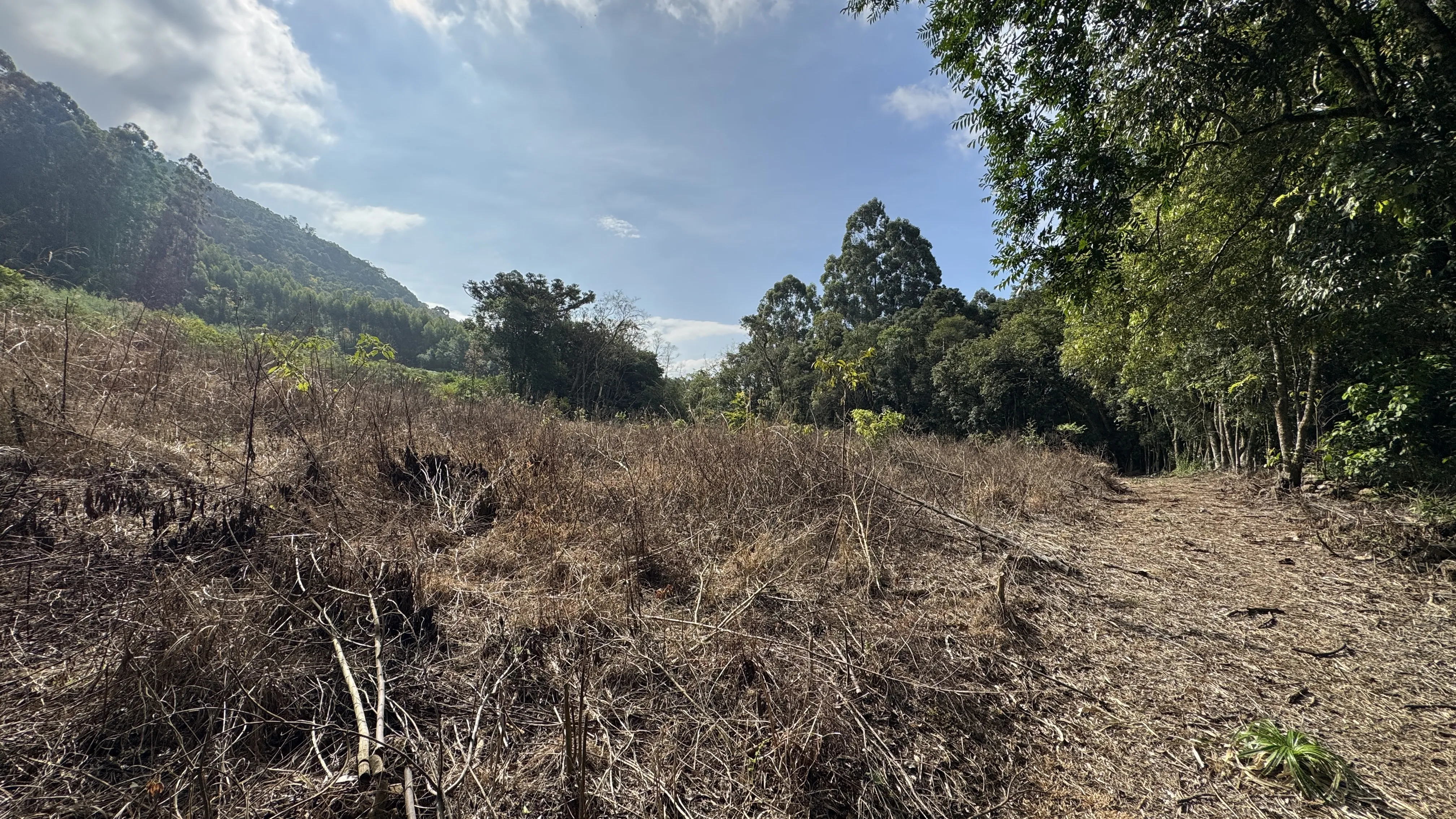 Área de terra com açudes e riacho à venda em Morro Reuter-RS