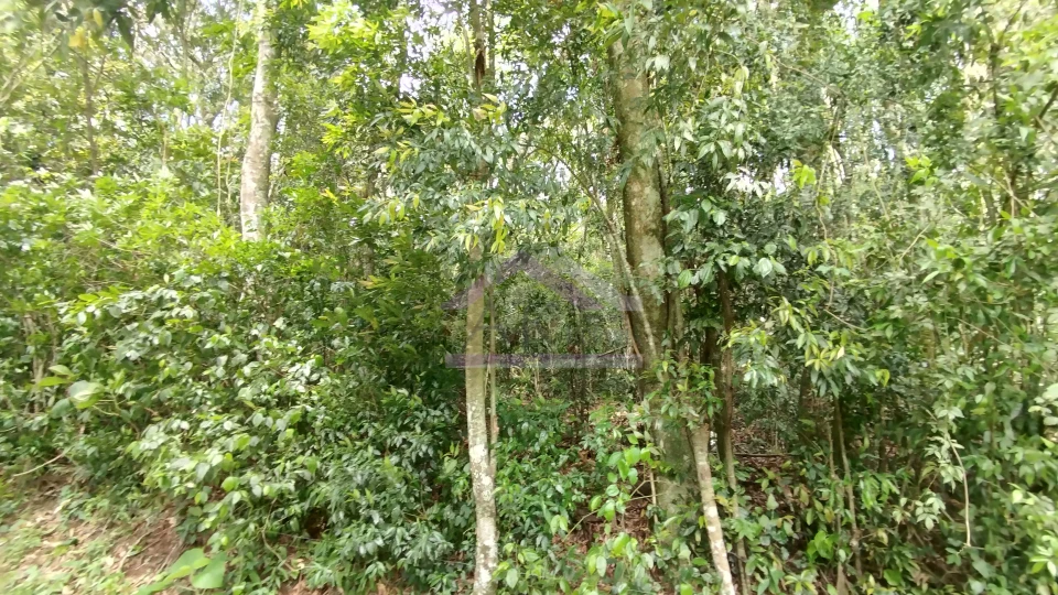 Imagens do imóveis Área de terra com vista panorâmica à venda próxima ao centro de Picada Café na Serra Gaúcha