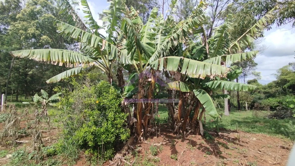 Sítio com duas casas à venda em Picada Café na Serra Gaúcha