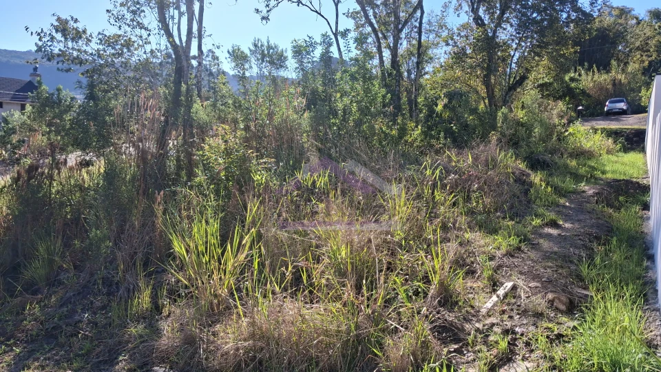 Terreno arborizado a venda em loteamento central de Picada Café, na Serra Gaúcha