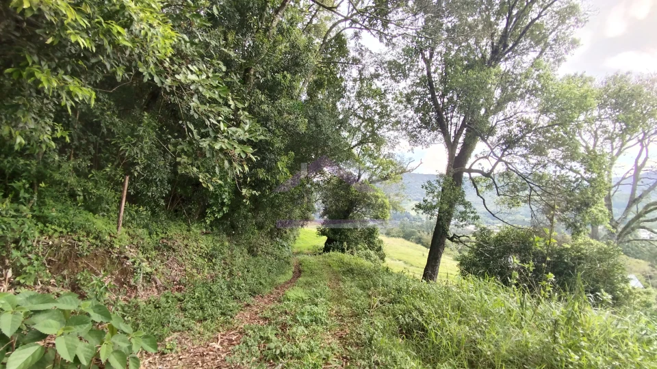 Imagens do imóveis Área de terra com vista panorâmica à venda próxima ao centro de Picada Café na Serra Gaúcha