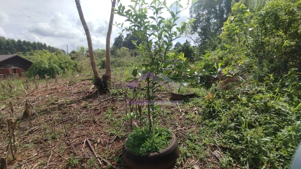Sítio com duas casas à venda em Picada Café na Serra Gaúcha